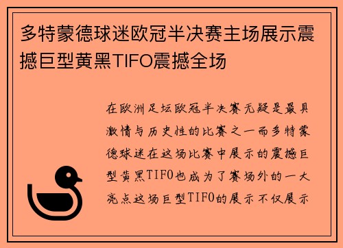 多特蒙德球迷欧冠半决赛主场展示震撼巨型黄黑TIFO震撼全场