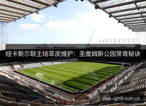 纽卡斯尔联主场草皮维护：圣詹姆斯公园常青秘诀